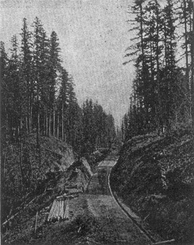 FIG. 3 SEATTLE-TACOMA INTERURBAN ELECTRIC RAILWAY. � GRADE CUT NEAR SUMMIT.