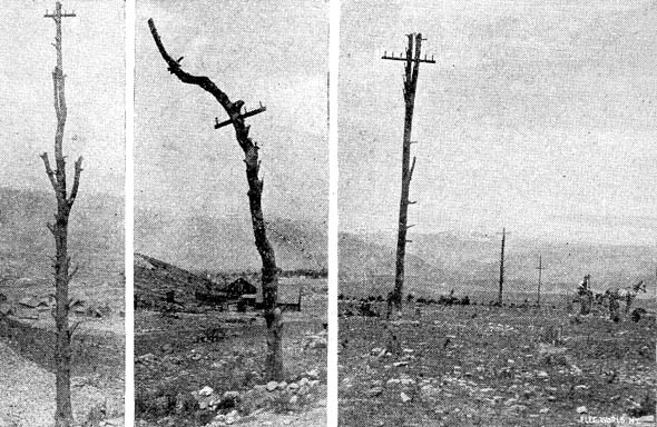 FIG. 2.�TREE-POLES.