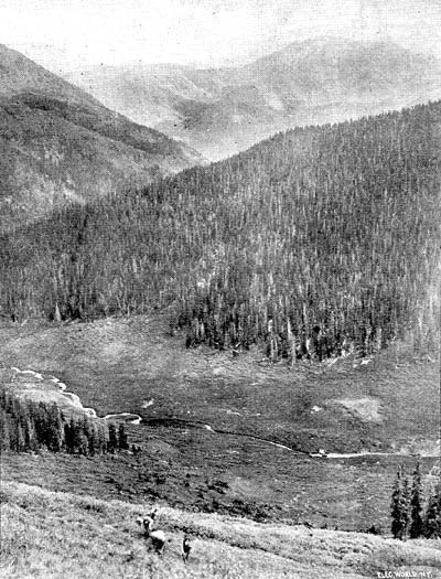 FIG. 3.�CONTINENTAL DIVIDE.