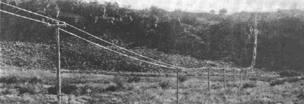 Plate V.  Summer View on Pole-Line, looking west, 10 miles from Bodie.