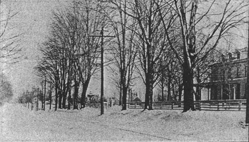 These Wires are Protected by Morse Insulators