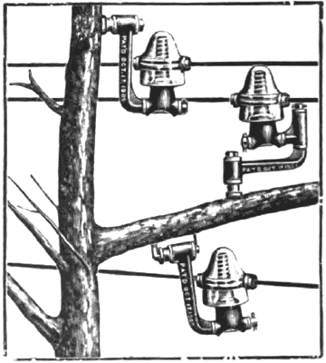 DUNTON TREE INSULATORS.