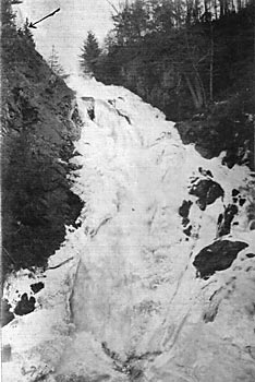 FIG. 2. � LOWER FALLS OF BLACK RIVER.