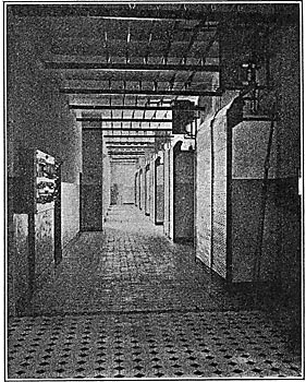 FIG. 6. - REAR VIEW OF SWITCHBOARDS AND GENERATOR BUSSES.