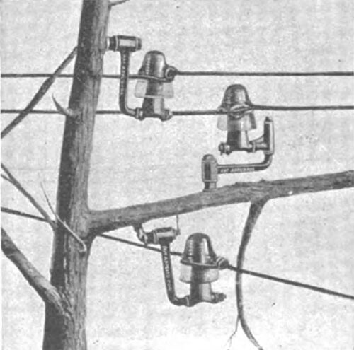 MALLEABLE IRON TREE INSULATOR.