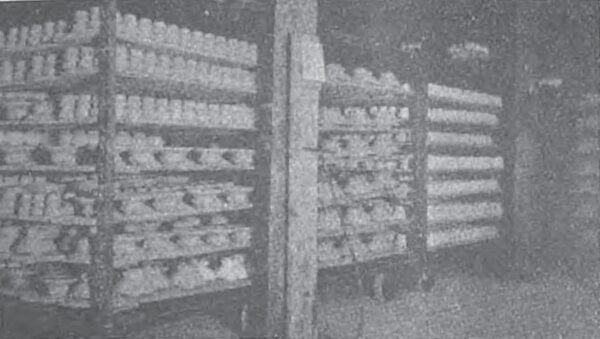 FIG. 8 � RACK CARS ENTERING DRIER