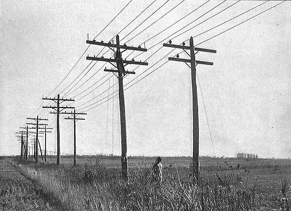 REPLACING A DEFECTIVE INSULATOR ON A 22,000-VOLT LINE