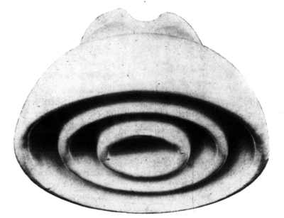 FIG. 23.�PORCELAIN TRIPLE PETTICOAT INSULATOR.