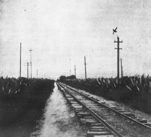 FIG. 24.�LINES AT MADIN.