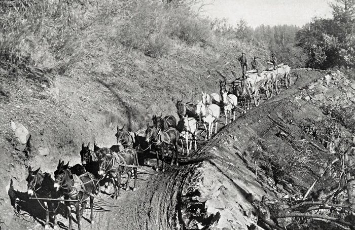 TWENTY-MULE TEAMS WERE NOT UNCOMMON IN HAULING MACHINERY OVER THE MOUNTAINS FOR THE STANDARD ELECTRIC COMPANY OF CALIFORNIA