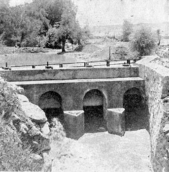 FIG. 2. - HEAD GATES FROM DOWN STREAM SIDE.