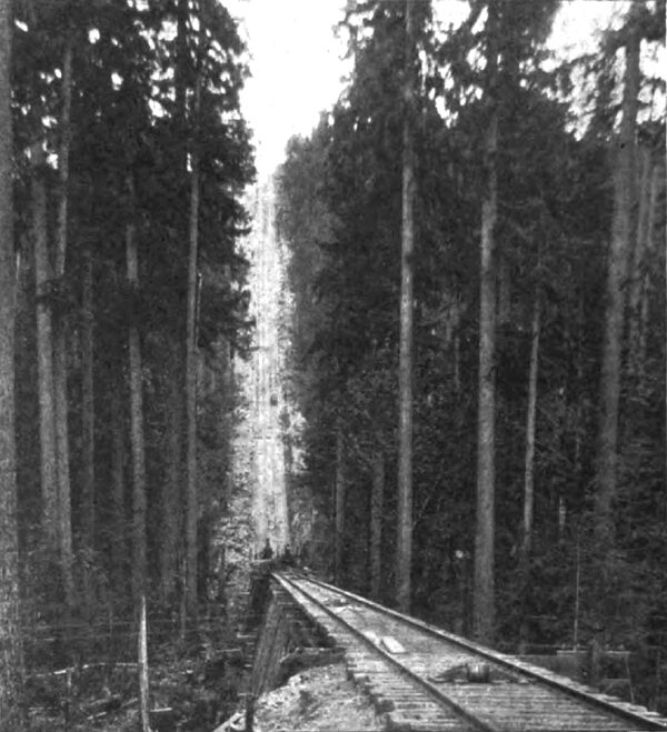 FIG. 3. � INCLINE CABLE RAILWAY FOR HOISTING BUILDING MATERIAL UP 68 PER CENT GRADE TO RESERVOIR.