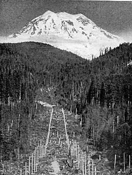 FIG. 16. � VIEW OF TRANSMISSION LINE.  MT. RAINIER IN DISTANCE.