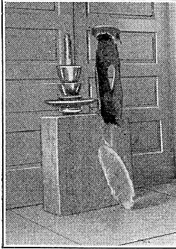 FIG. 18. � BURNED POLE TOP.