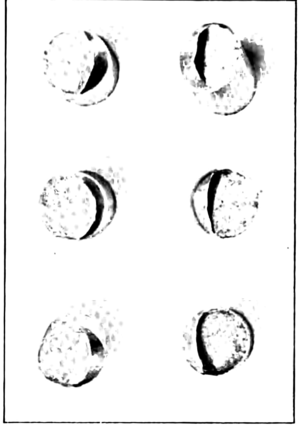 FRACTURE OF ALLOYED SOLID ALUMINIUM CONDUCTORS