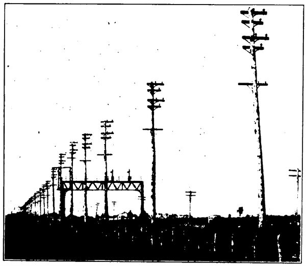 FIG. 10. � WOOD POLE CONSTRUCTION, LOOKING NORTH FROM JAMAICA BAY