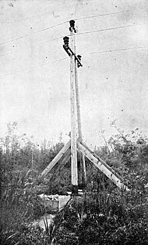 FIG. 27 � A-frame construction, Montezuma swamp