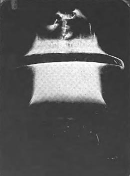 Fig. 9. � TWO PORCELAIN SHELLS SUBJECTED TO 100,000 VOLTS.  PHOTOGRAPHED BY THEIR OWN LIGHT.