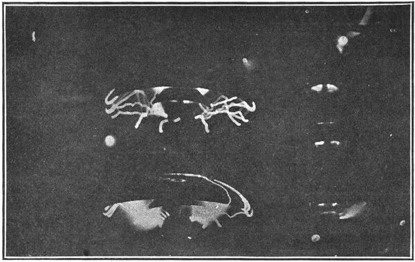 Fig. 2 � Type �A� and Type �B� Insulators in Multiple