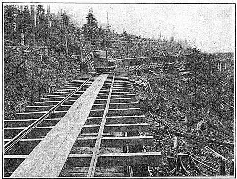 Fig. 19 - Flume and Inspection Car, Electron Station.