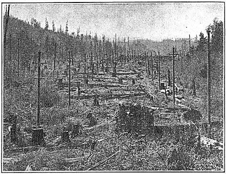 Fig. 25 - Transmission Line from Electron Station.