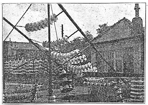 Suspension Insulators on Outdoor Testing Rack.