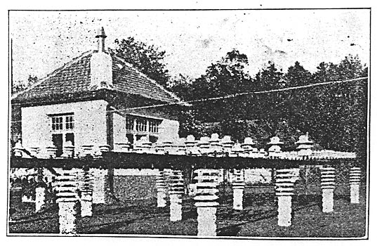 Pin-Type Insulators on Outdoor Testing Racks.