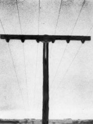 Three circuits on crossarm plant.