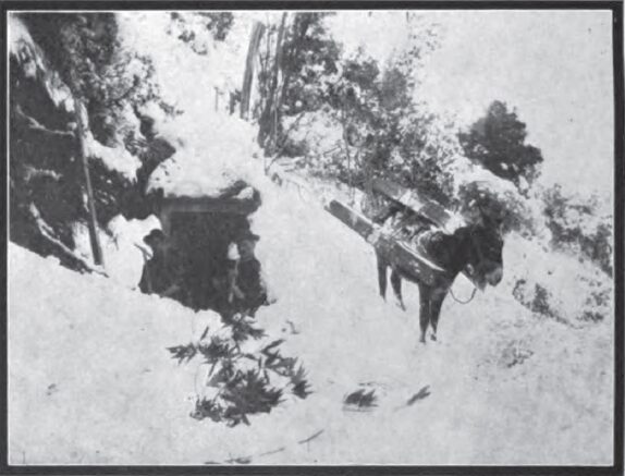 A WINTER SCENE ON THE LINE OF THE CANAL OF SANTA ANA PLANT NO. 1