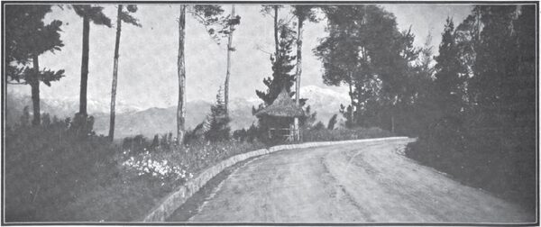 A BEAUTIFUL VIEW OF REDLANDS AND THE SAN BERNARDINO MOUNTAINS IS HAD FROM ANY DRIVEWAY ON SMILEY HEIGHTS.