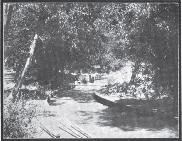 A VIEW IN MILL CREEK CANYON