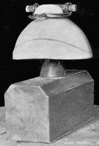 CROSSARM, PIN, INSULATOR AND CABLE, NIAGARA  LINE