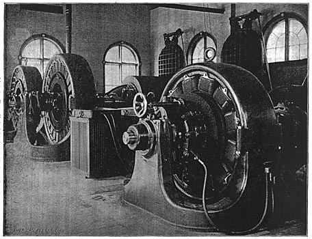 FIG. 1. � GENERAL VIEW OF THE PLANT.