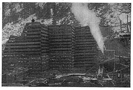 FIG. 9. � SHOWING CRIB CONSTRUCTION.