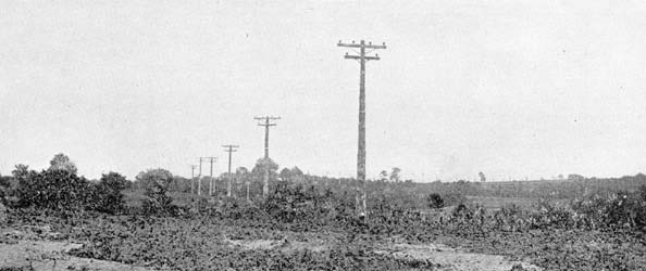 FIG. 3. � VIEW OF POLE LINE.
