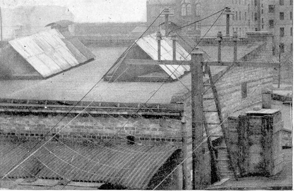 FIG. 4. -- ARRANGEMENT OF INSULATORS DURING TEST.