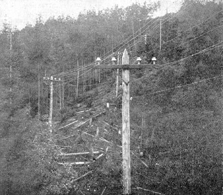 FIG. 5.�POLE LINE.