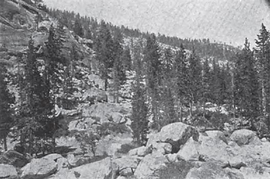 A CHARACTERISTIC VIEW IN THE CATCHMENT AREA.