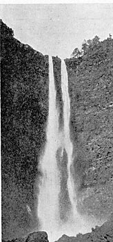 FIG. I.-THE SECOND NECAXA FALLS.