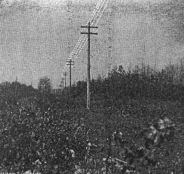 FIG. 6. POWER TRANSMISSION FROM LOWELL TO GRAND RAPIDS, MICH. � A GLIMPSE OF THE CROSS-COUNTRY LINE.