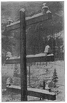 FIG. 4. HIGH-VOLTAGE POWER TRANSMISSION. � 50,000 VOLTS ON LARGE GLASS INSULATORS ON TOP CROSS-ARM AND PORCELAIN INSULATORS ON LOWER CROSS-ARM.